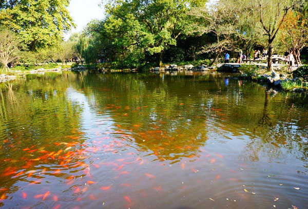 公园景观鱼池水过滤净化及水质维护方法
