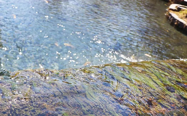 景观池”活水”的重要性你知道多少?