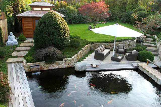庭院鱼池水净化系统