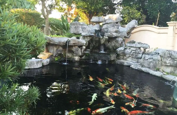 庭院景观鱼池