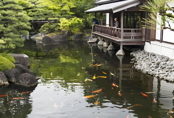 户外景观鱼池用哪种景观水池水处理设备