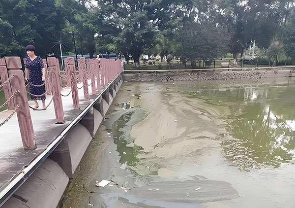 夏日公园人工湖黑臭水体如何高效净化?景观水处理设备来帮忙