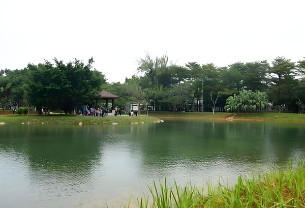10000方水的公园人工湖长藻浑浊用什么循环水净化系统处理?