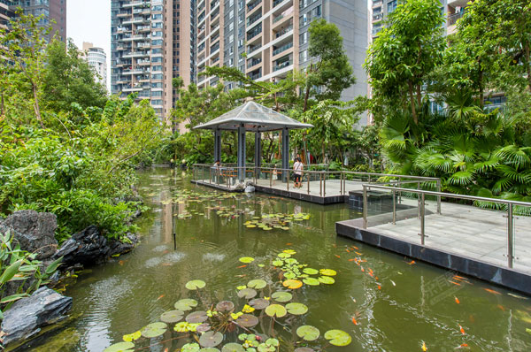 住宅区水景池夏天水质浑浊发绿有什么设备可以治理好?