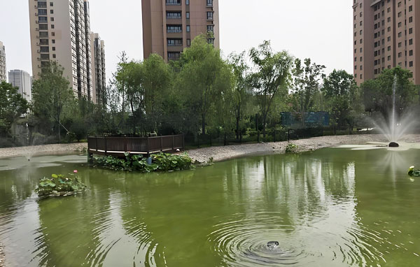 小区中的人工湖水质浑浊发绿用哪种景观湖水处理设备?