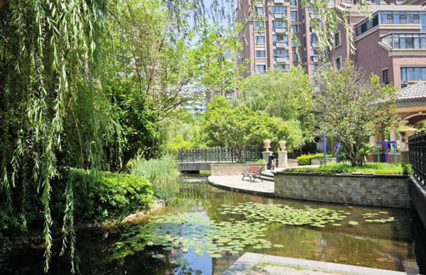 500平的景观池水浑浊发绿用什么设备处理效果好?