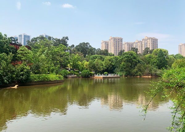 1万方水体的人工湖水体治理有什么好方法?