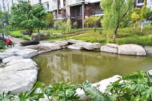 住宅小区中的景观池水浑浊不流动该怎么净化？