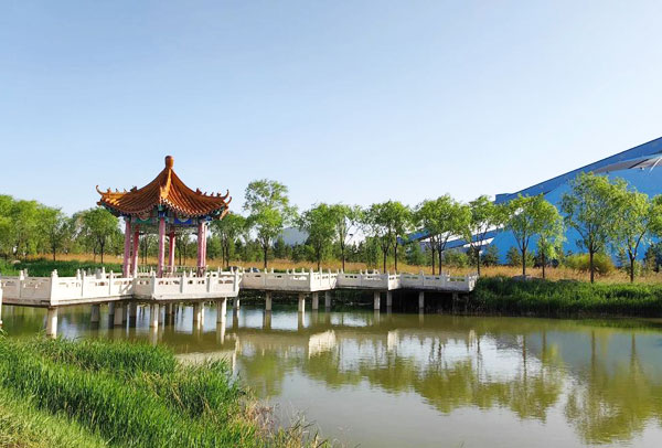 5000平人工湖上什么水净化系统处理效果好?