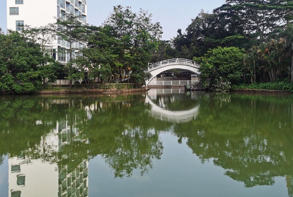 景区1000方水的内湖