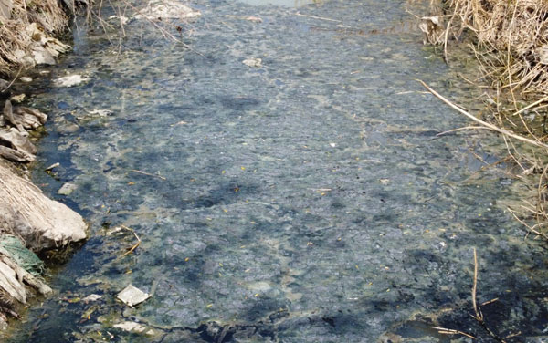 公园景观河道水发黑起泡沫怎么净化?