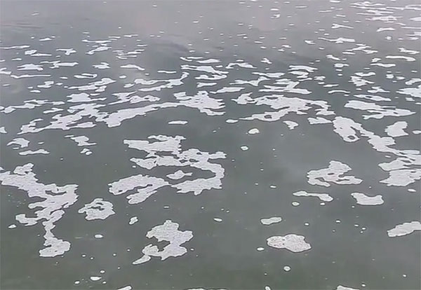 学校人工湖水起泡沫的处理方案