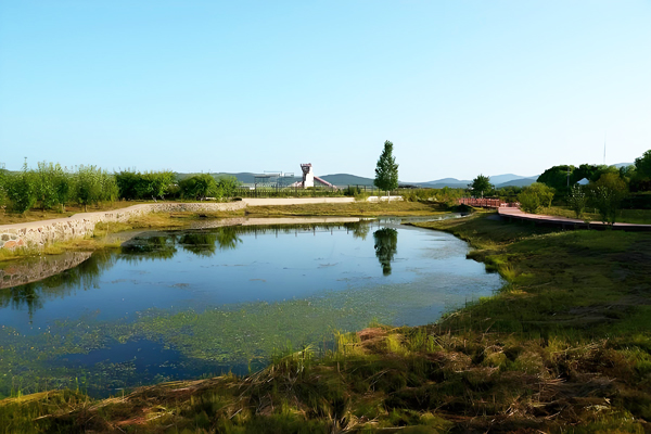 2000平新建人工湖水如何净化处理?