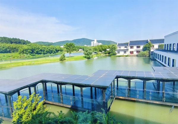 酒店景观池水循环净化系统用哪种?