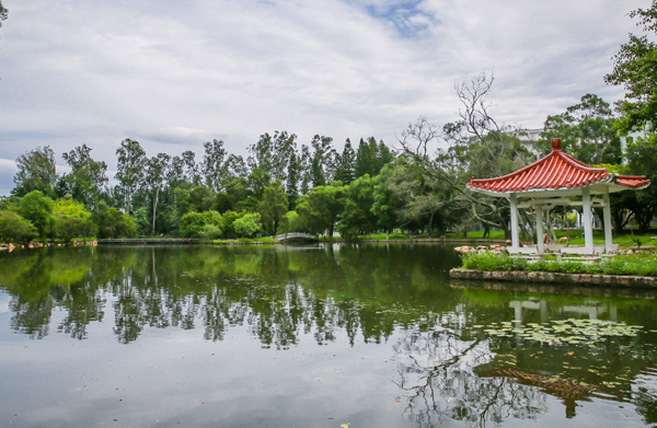 如何实现景观湖水质净化修复？实用技术分享