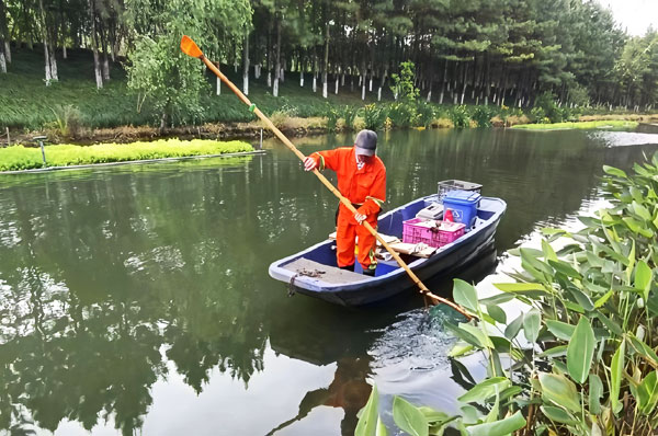 公园景观河道夏天浑浊不清用哪种水净化设备?