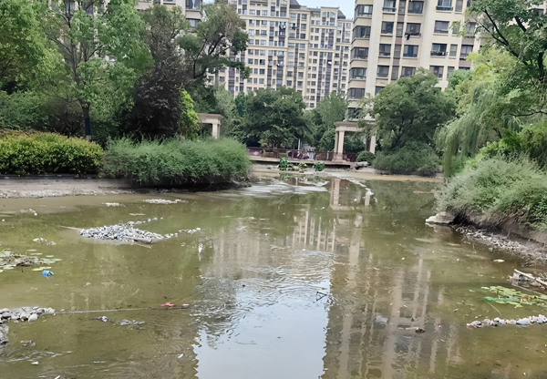 小区人工湖死水不流动,用这个景观水处理设备
