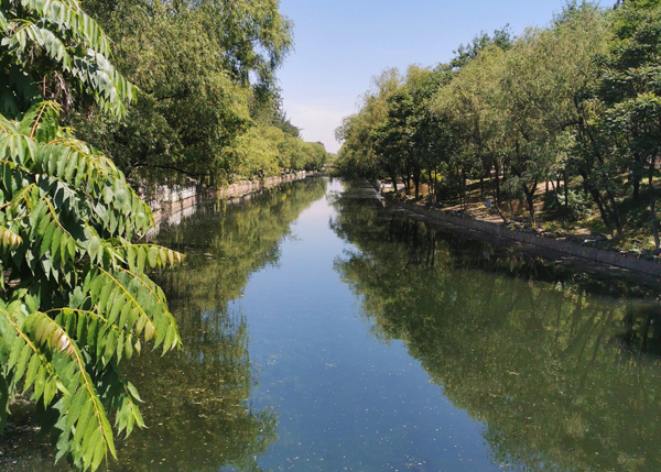 公园景观河道夏天长绿藻太影响景观，这个净化方案值得学习