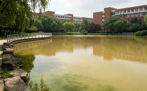 学校景观人工湖死水不流动水浑浊