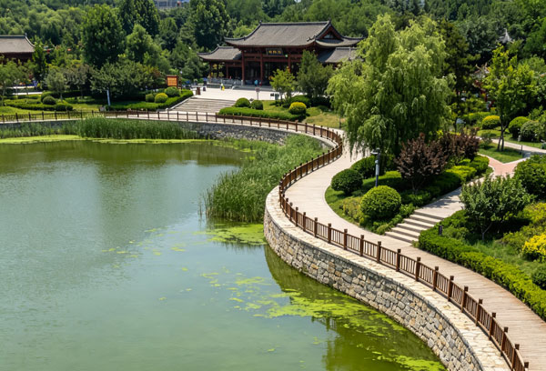 夏天公园景观湖水质浑浊发绿是什么原因导致的？